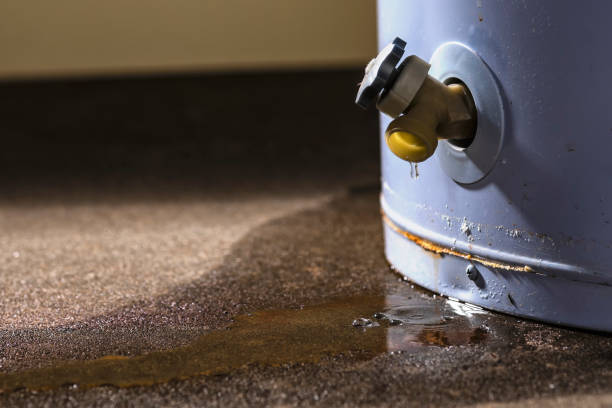 Best 24/7 water damage repair  in Harper Woods, MI