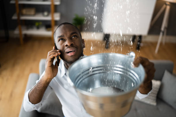 Best Flood restoration services  in Harper Woods, MI