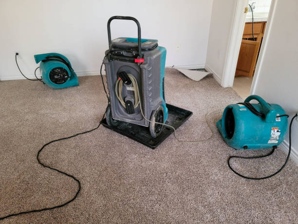  Harper Woods, MI Water damage restoration Pros
