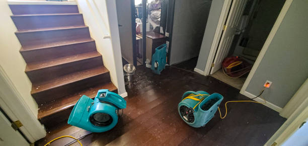 Best Professional water damage repair  in Harper Woods, MI