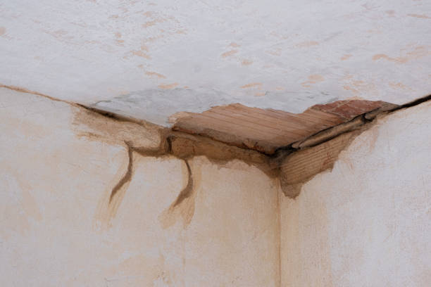Best Water damage restoration specialists  in Harper Woods, MI