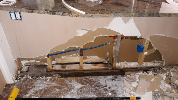 Trusted Harper Woods, MI Water damage restoration Experts