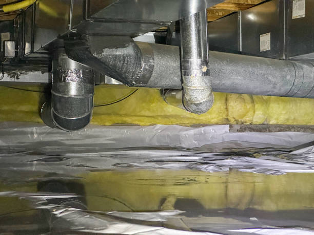 Best Carpet water damage restoration  in Harper Woods, MI