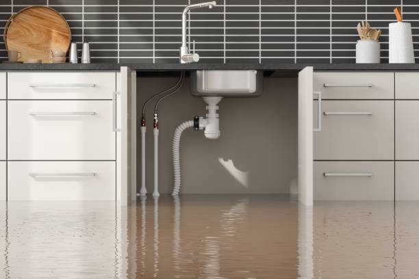 Best Mold removal after water damage  in Harper Woods, MI
