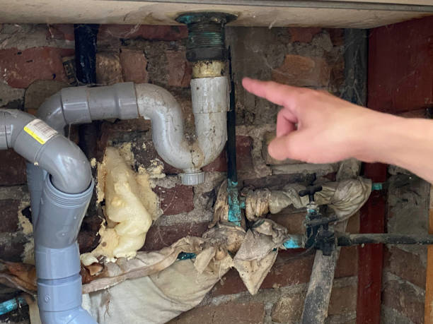 Best Water damage mitigation services  in Harper Woods, MI